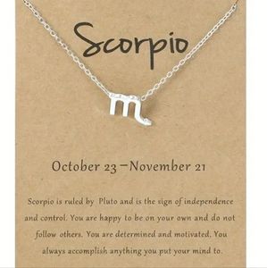 Scorpio Necklace Set